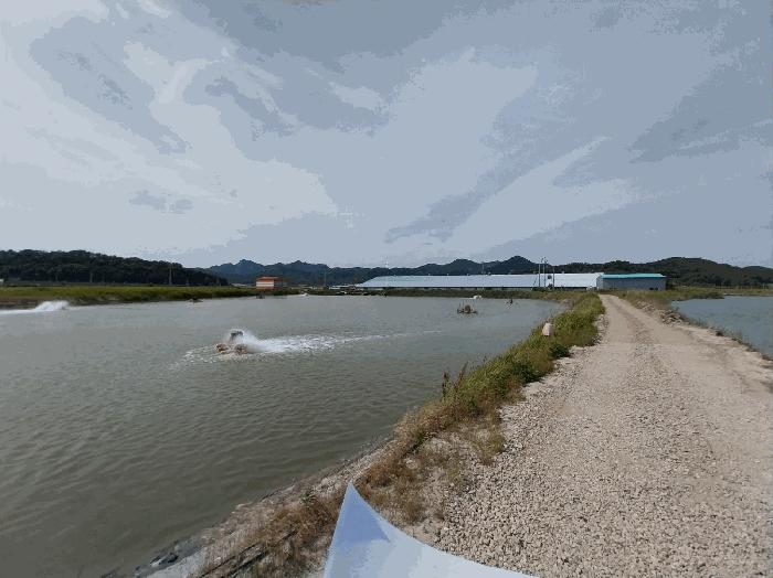 전북 부안군 진서면 진서리 265-13 임야 사진 4