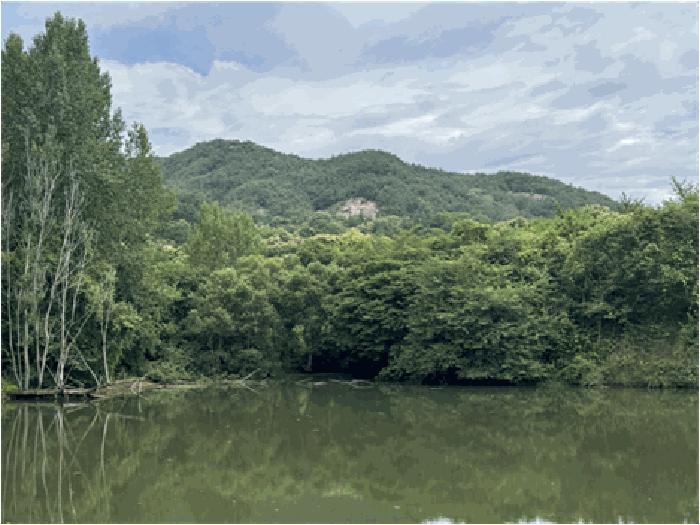 전북 순창군 동계면 구미리 153-1 답 사진 2